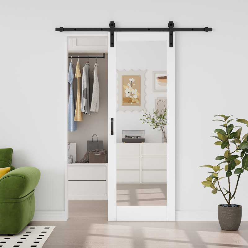Aucun assemblage requis Panneau, porte de grange coulissante à double face H 84 po, 30 po x 84 po, Miroir 1-Lite