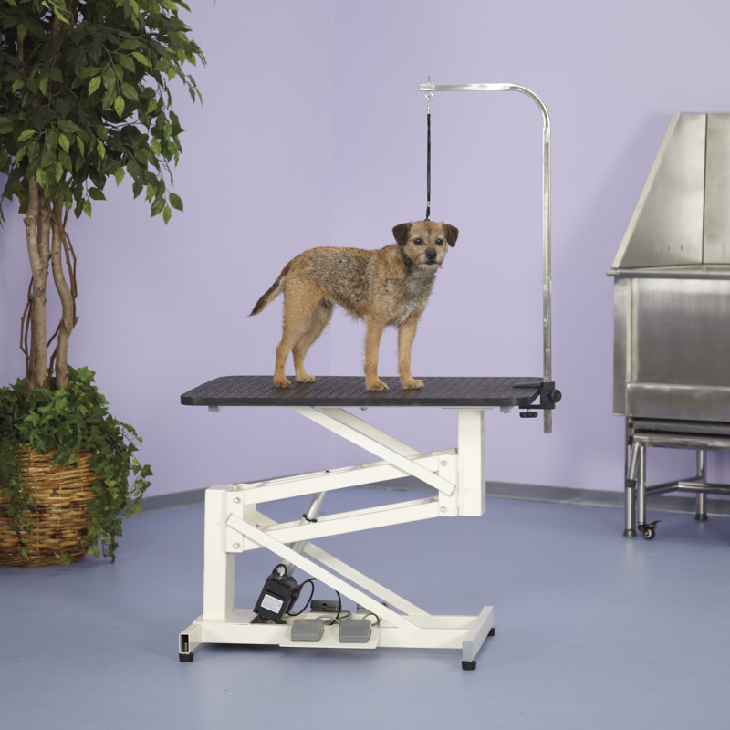 Ivory and Black Heavy-Duty Steel Electric Grooming Table