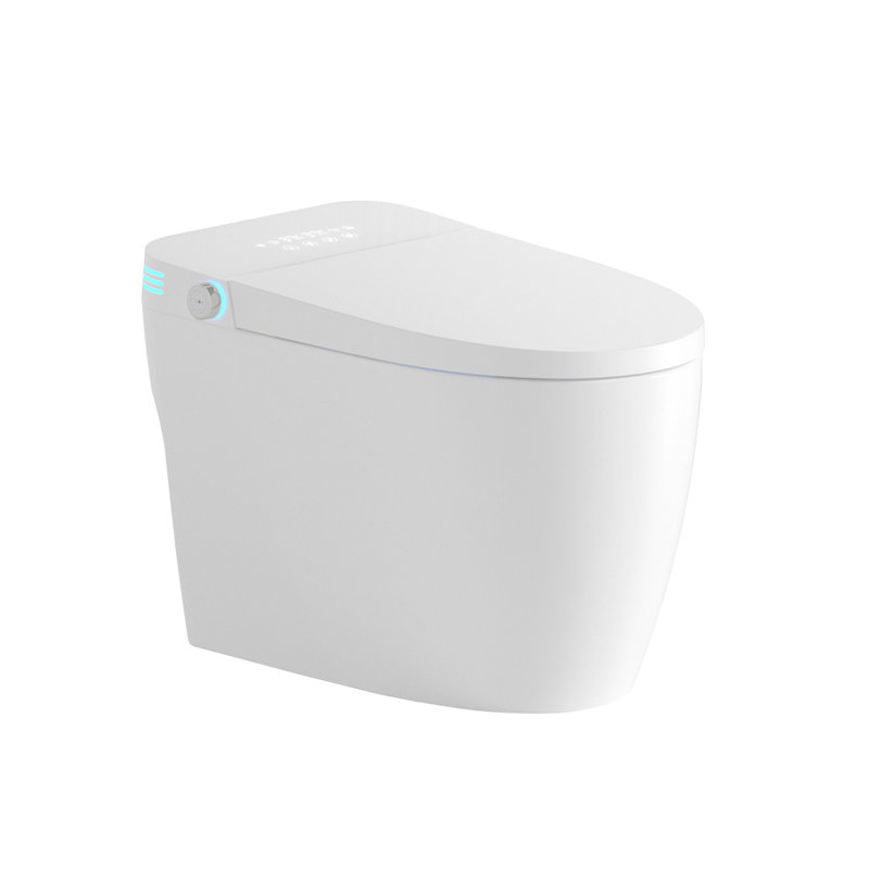 Bidet Toilet With One - Piece Seat, Auto Flush And Open/Close, Heated Seat Adjustable Temperature, Warm Water Wash Dry, Remote Control Function, Sensor Cover, Female Wash, Rear Move Modes, Night