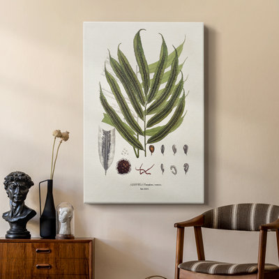 Fougères II de la Botanical Society - galerie Cavas sur mesure