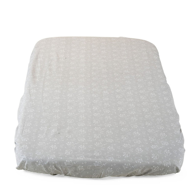 Cotton 2 - Piece Sheet Set