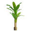180cm Faux Banana Tree in Metal Pot-113668064