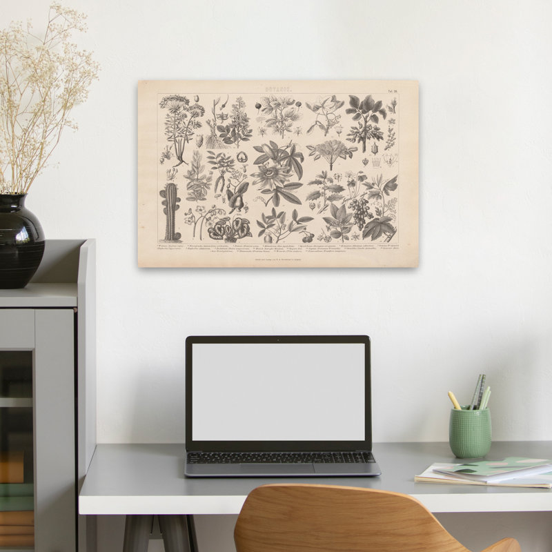 Botanicals - Botanik I Vintage, H 16 po x l 24 po