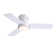 32'' Ceiling Fan With Light Kit & Remote