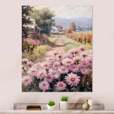 Pink Green Chrysanthemums Field