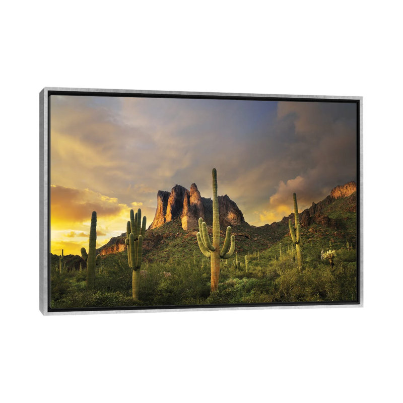 «Desert Sunset», reproduction d'art sur toile encadrée, H 40 po x l 60 po, Argent argent