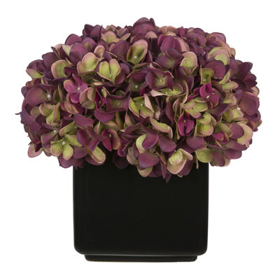 Hydrangea Arrangement in Vase