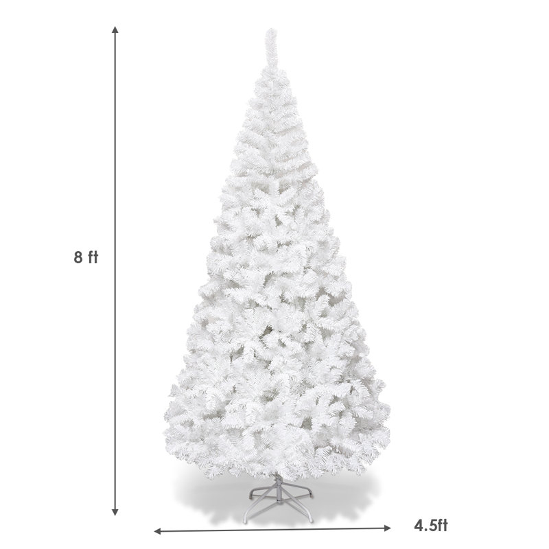 Arbre de Noël pin blanc, H 8 pi