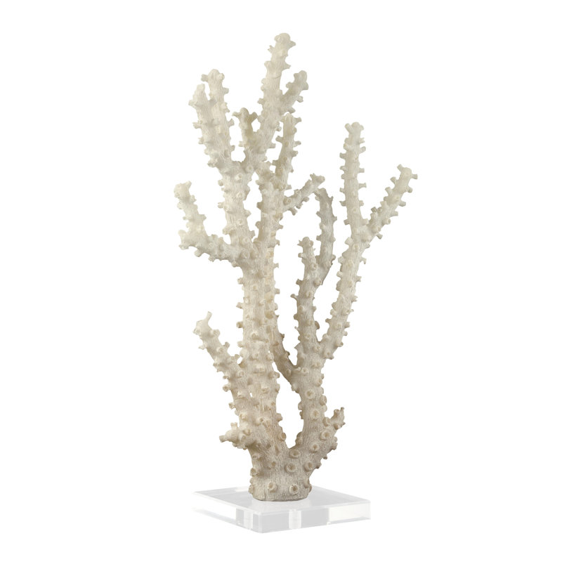 Watchet Polystone Coral Decorative Cream Sculpture with Clear Acrylic Base