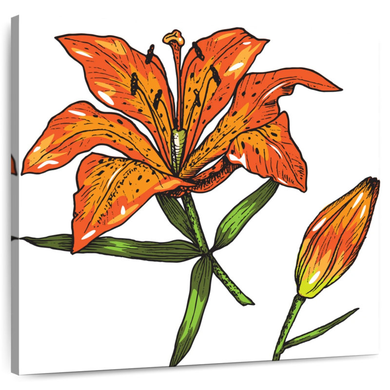 Lys tigré orange, H 20 po x l 20 po