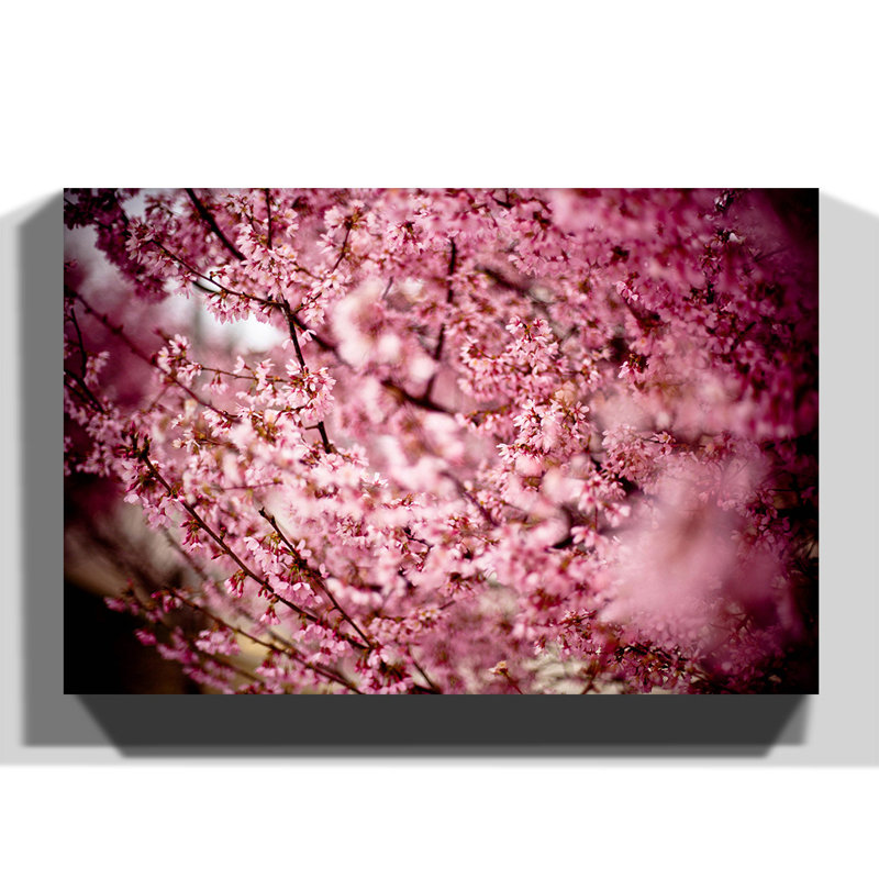 Wrapped Canvas Print, 40cm H x 60cm W
