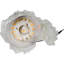 Lampes en fibre optique ange
