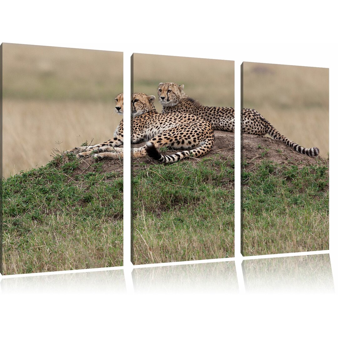 3-tlg. Leinwandbilder-Set „Maiestätische Geparden auf Stein“, Fotodruck