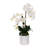 Faux Silk Orchid Arrangement