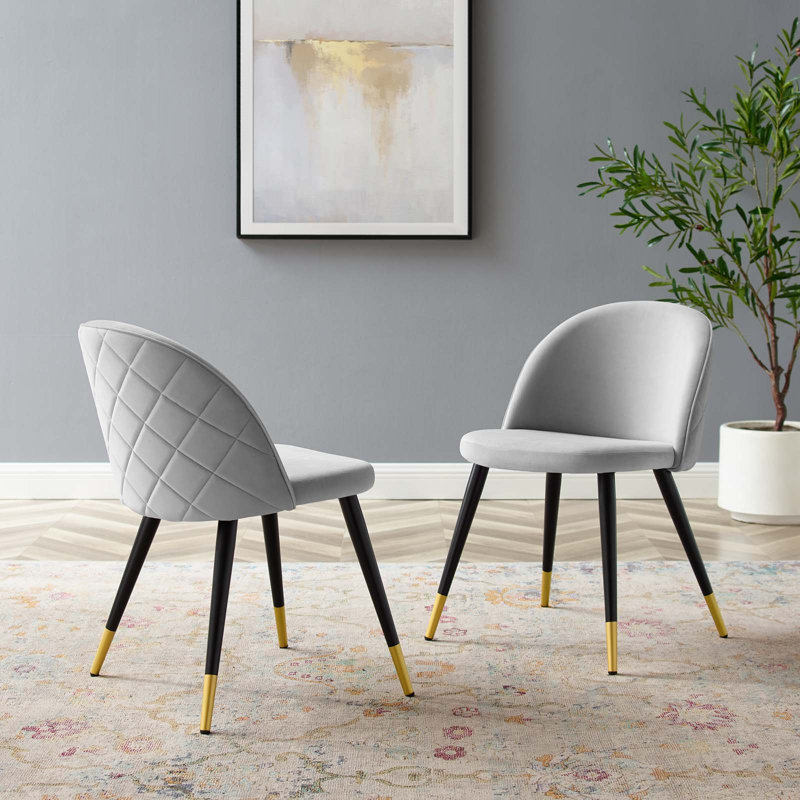 Cordial Performance Velvet Dining Chairs - Set of 2, Light Gray Velvet