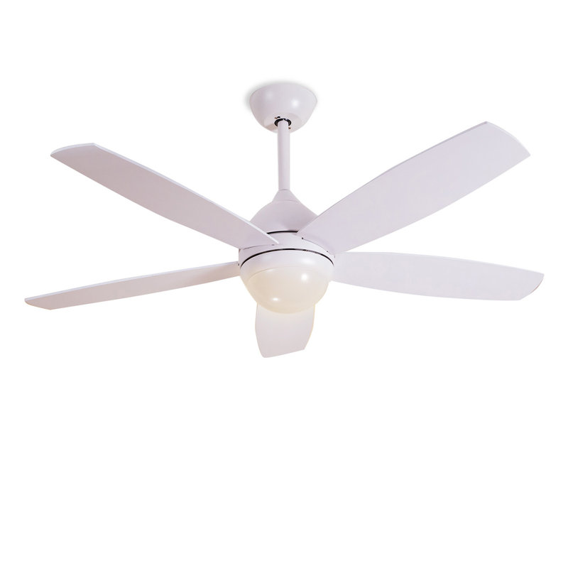 Ceiling Fan with LED Lights
