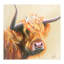 I Need A Haircut by Louise Brown - Painting-23823129-23823131