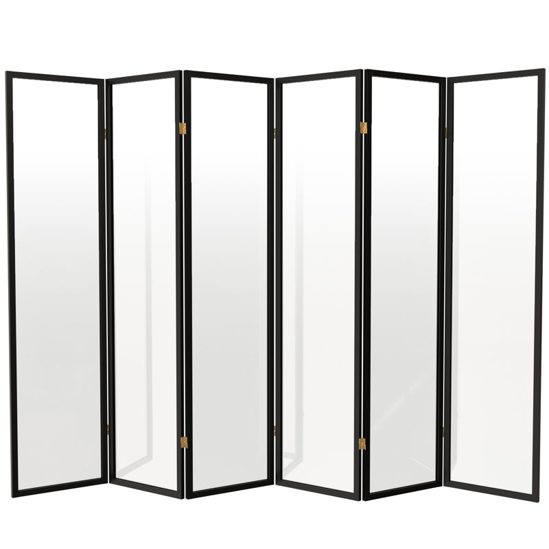 Cloison en plastique transparent Alayzhia, Noir, 6, 6 pi