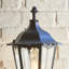 Shanghai 49cm H Outdoor Wall Lantern