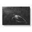 Sea Turtle Painting - Wrapped Canvas-56654404
