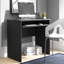 Reiban Computer Desk-40478096