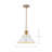 Rodarte 1-Light Dimmable Cone Pendant-1378733128-1378733131