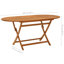 Louvenia Oval Pine Folding Outdoor Dining Table With Umbrella Hole , 160cm cm W 85cm cm D