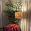 Customer photo 2 of 2