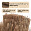 Bamboo Border Fencing