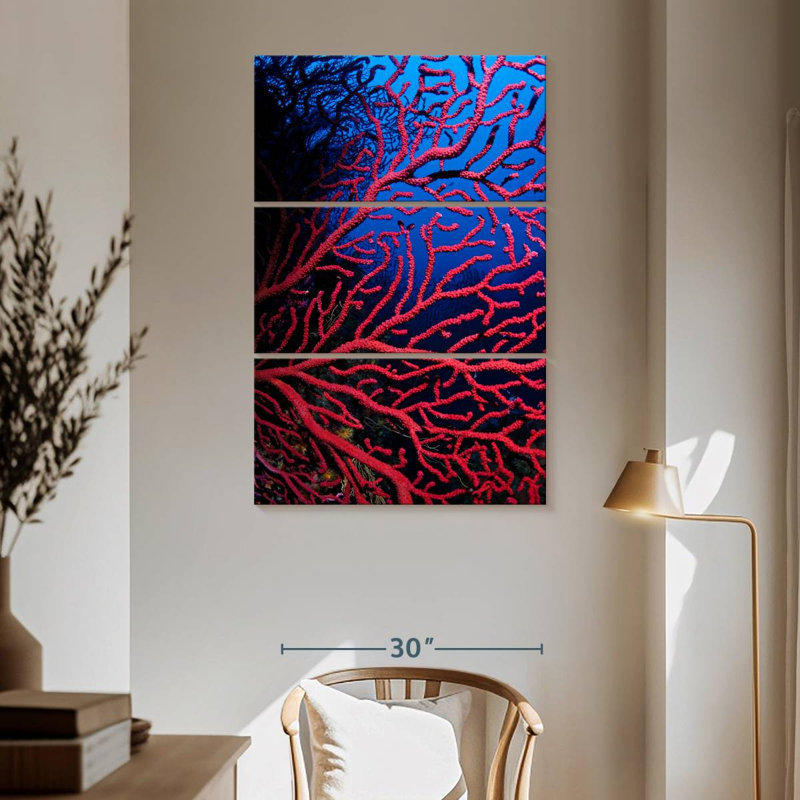 Brampt Violescent Sea Whip, 65" H x 42" W