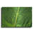 " Leaf Details " by Dennis Frates-1447468781