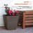 Pot Planter-979810678