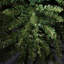 4' Lighted Artificial Fir Christmas Tree