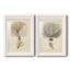 Toile encadrée Esper Sea Fans-469351605-469384946-469384958