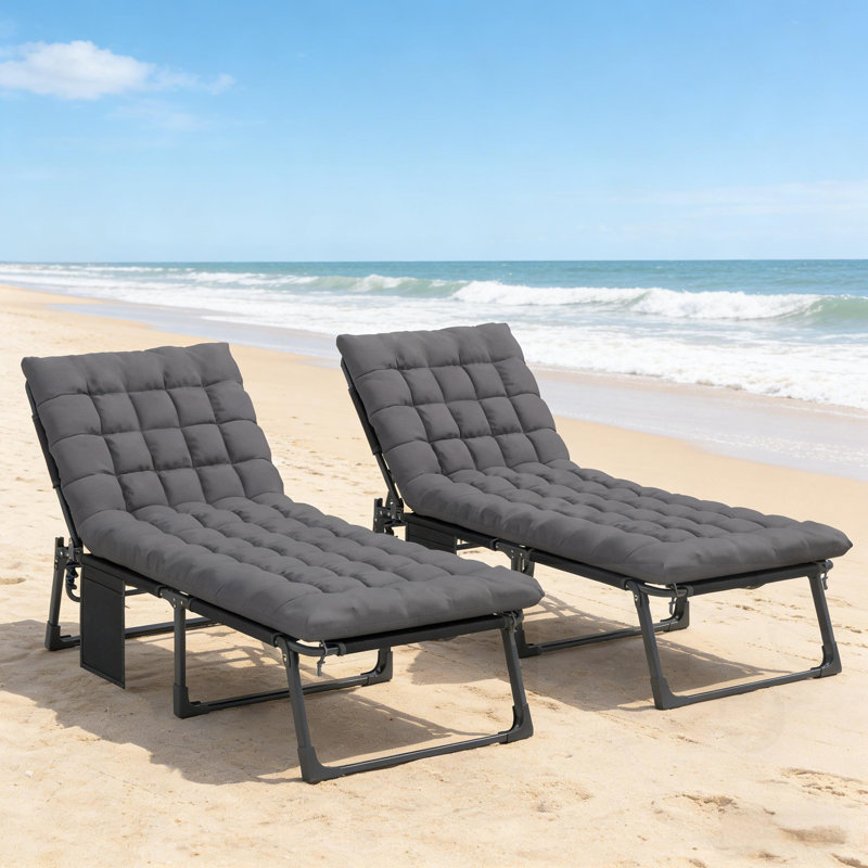 Folding Chaise Lounge Chair With 5-Position Backrest(Set Of 2), Dark Gray