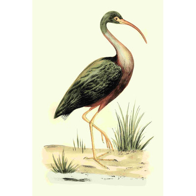 Oiseaux d'eau I
