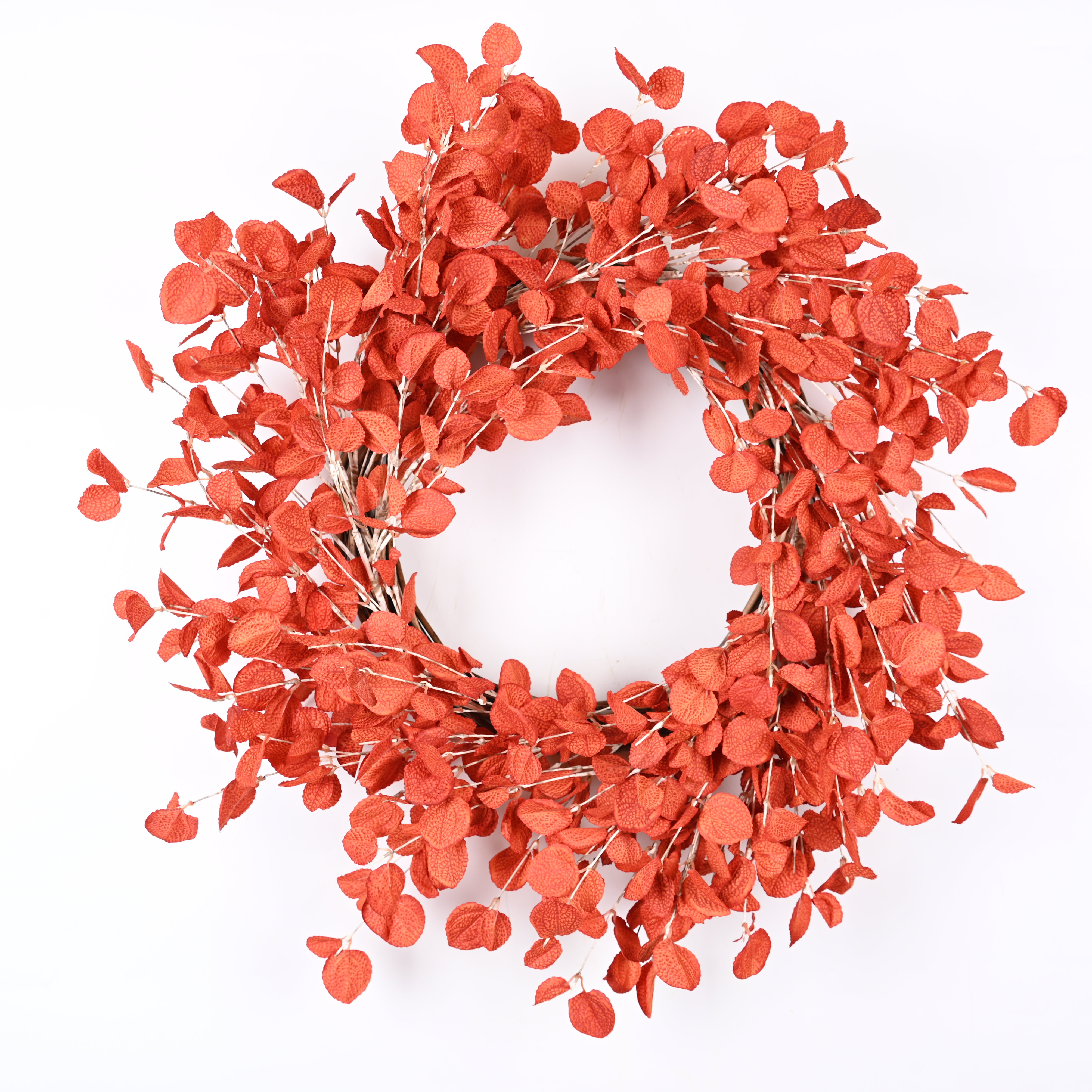 Primrue 24 Wreath Reviews Wayfair