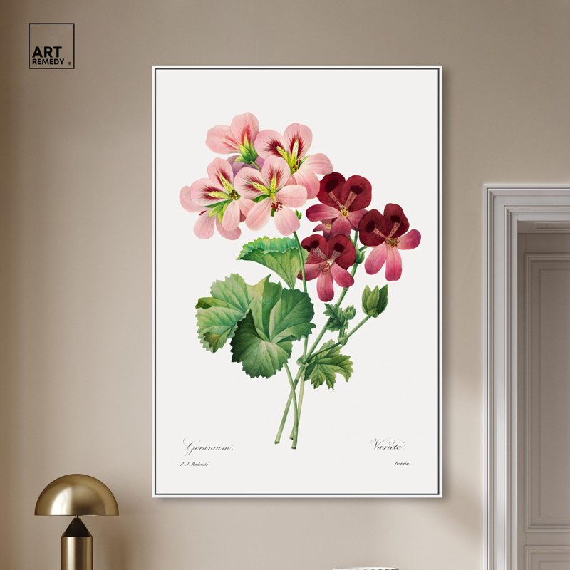 Art Remedy, impressions sur toile, géranium, 1827, H 25 po x l 17 po, Cadre flottant blanc