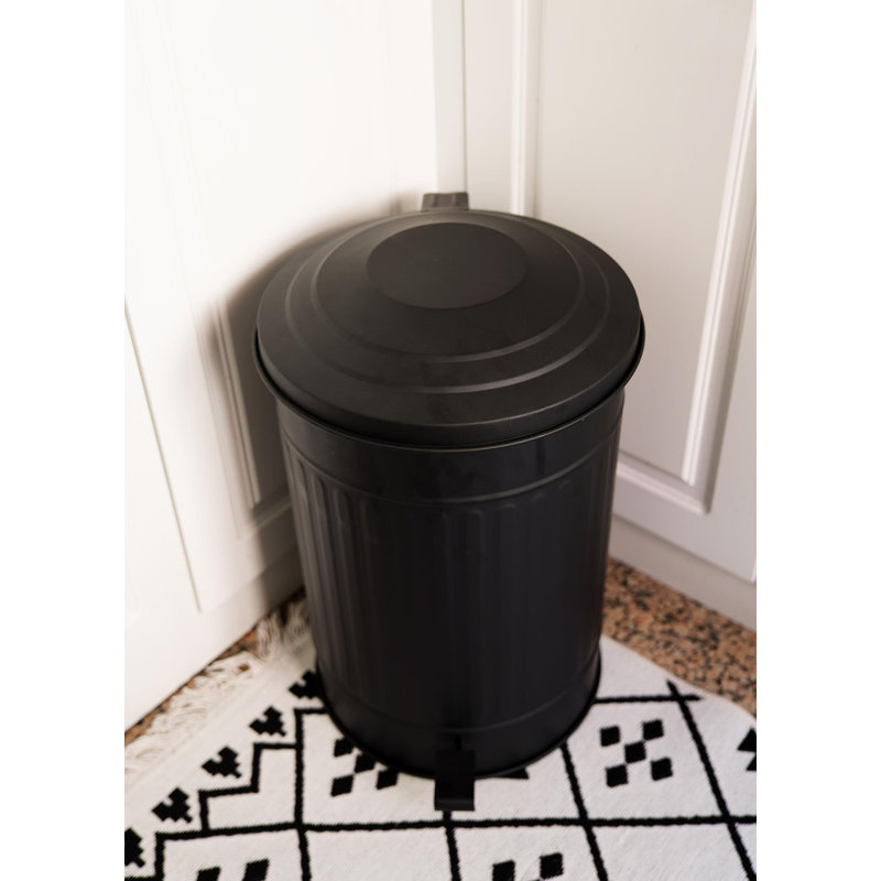 Ava-Mai Steel Step On Kitchen Trash Can, 37 L, Matte Black