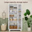 Armoire de rangement verticale H 63 po à 9 portes avec tablettes réglables et ancrage anti-basculement