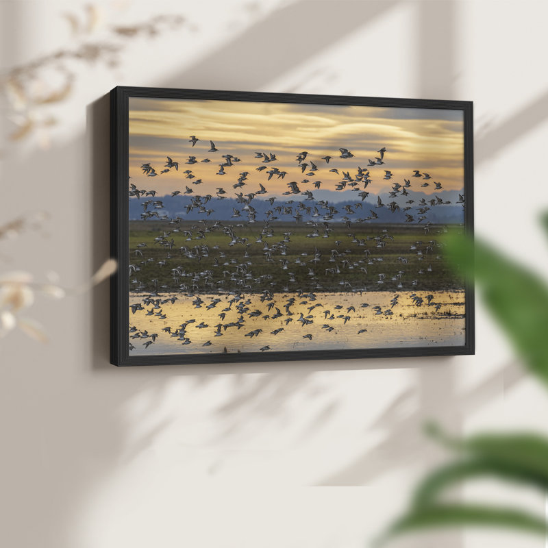 Coucher de soleil couchant - Reproduction encadrée - Restickable, H 16 po x l 20 po, Noir, noir, noir, noir