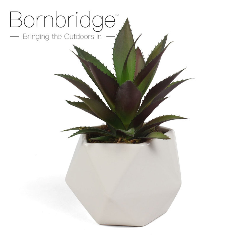 2.75" Artificial Bromeliad Succulent in Planter