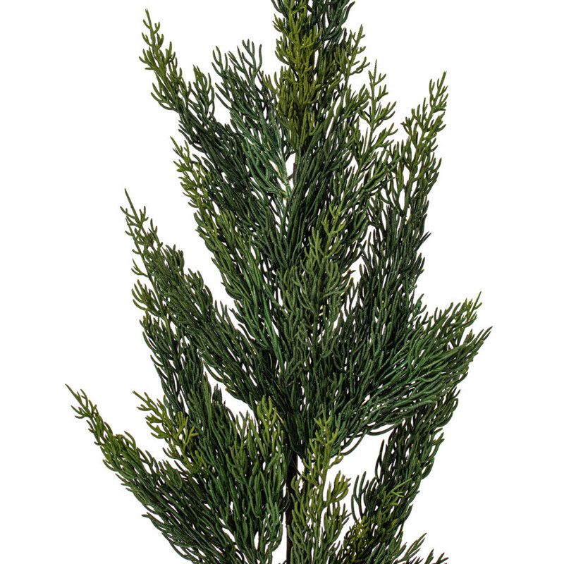 Primrue 30" Green Cedar Fern Artificial Spray 2/Bag. Features green cedar foliage.