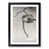 Black Framed selected