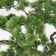 53" Artificial Pine Tree in Planter