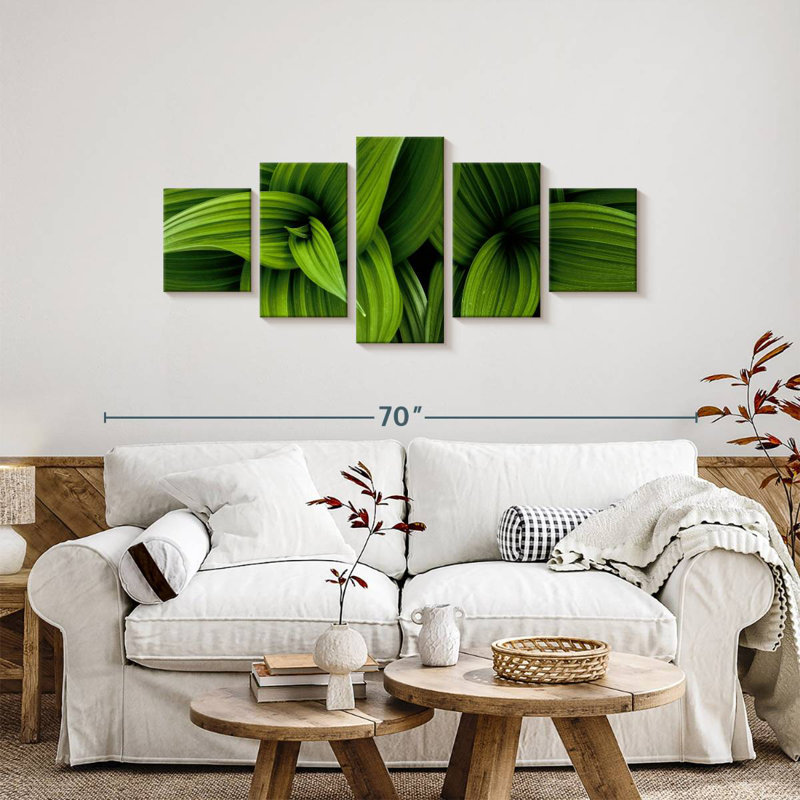 Green False Hellebore, 24" H x 55" W
