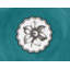 Herbariae Porcelain Salad/Dessert Plate