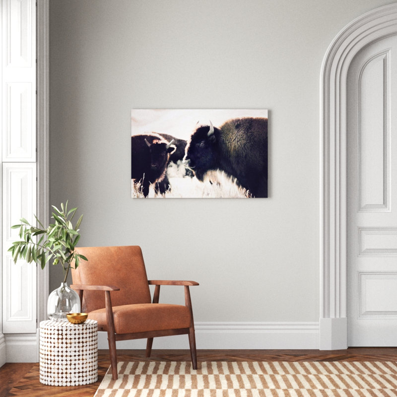 Photographie buffalo, H 26 po x l 40 po x P 1,5 po, Toile tendue