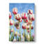 Pink And White Tulip Flowers - Wrapped Canvas Painting-56667251
