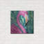 «Flamingo Portrait» par Estelle Grengs-809238532